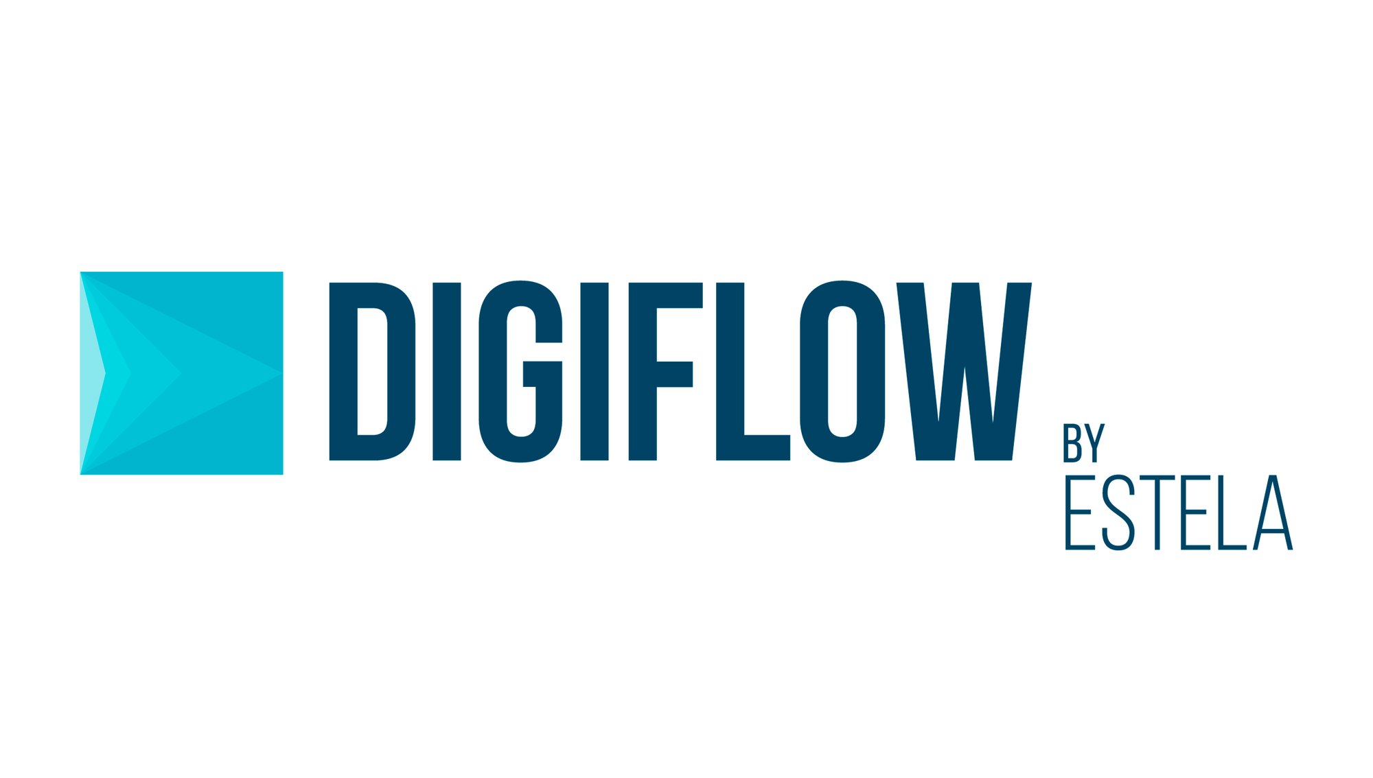 Logo digiflow web